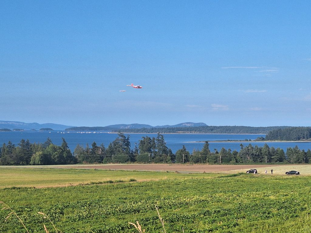 2020 – Saanichton Village Design Guidelines report