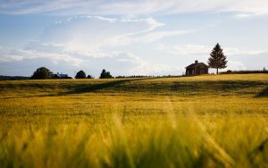 barn image